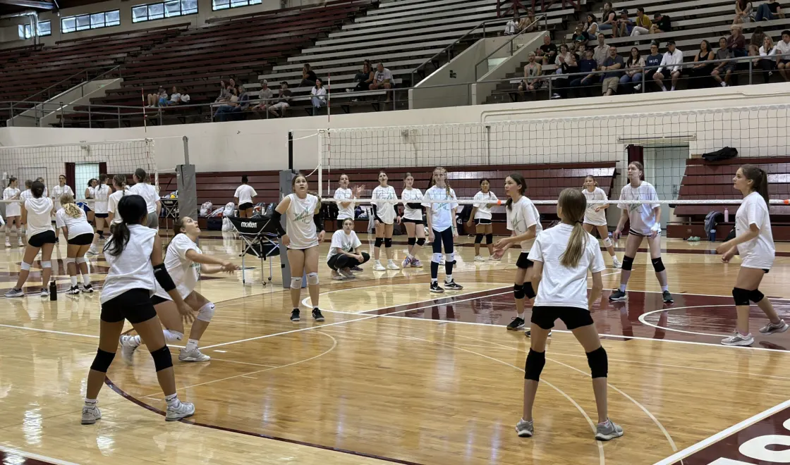 NBC Volleyball at UPS
