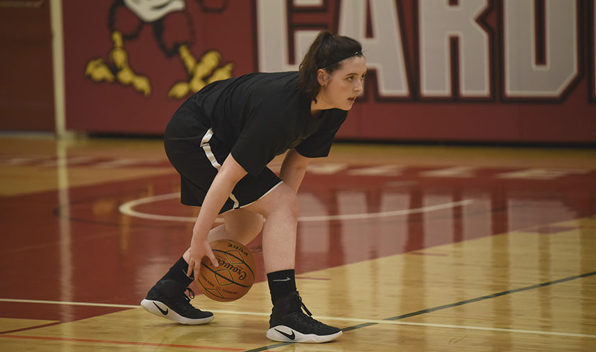 Girl basketball player ball handling workout
