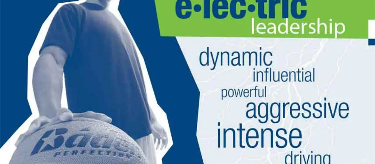 Definition of electric leadership