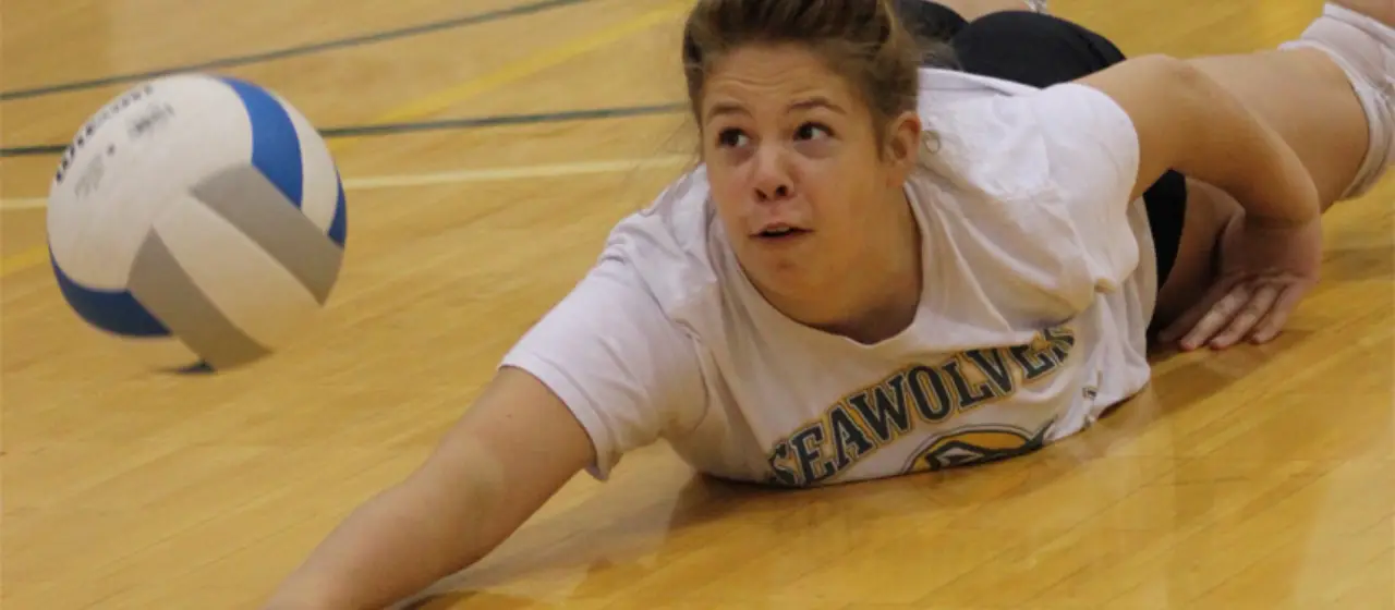 Need to know where to start to get a college volleyball scholarship? This has some good quick ways to start the process.